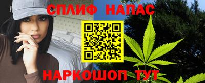 прущие грибы Будённовск