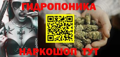 прущие грибы Будённовск