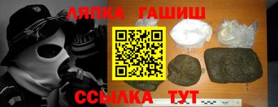 прущие грибы Будённовск