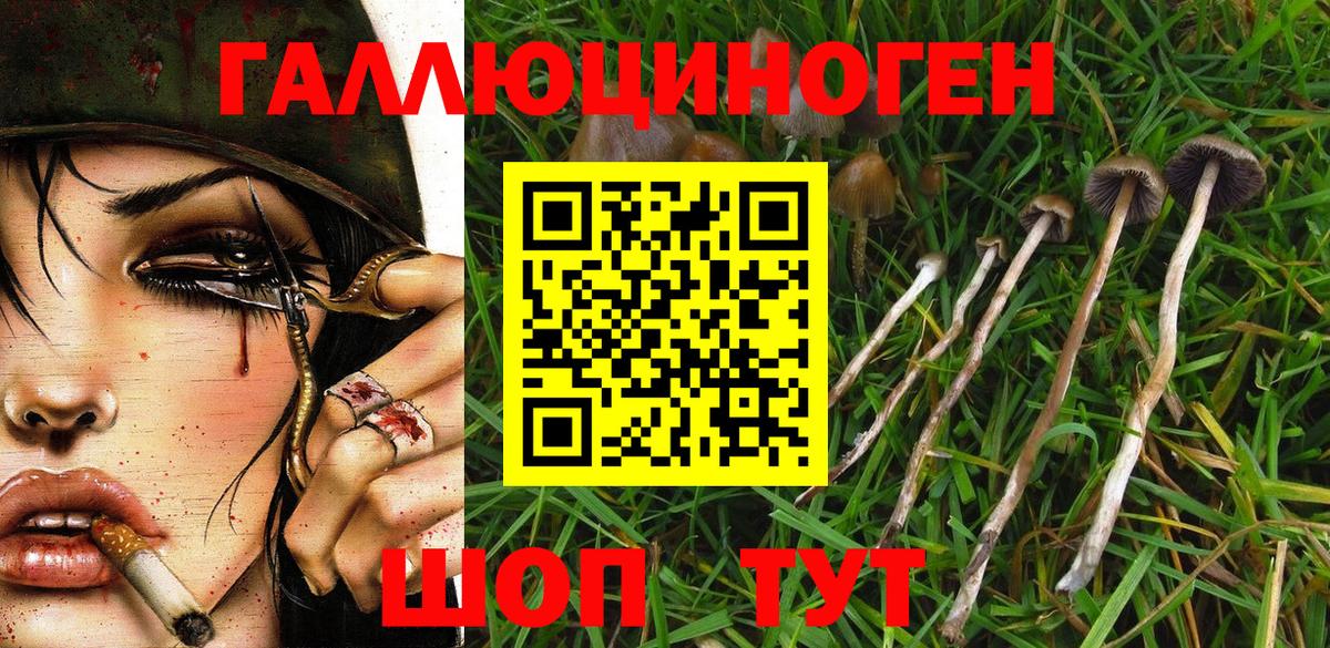 Псилоцибиновые грибы мухоморы  Вход с VPN  Малгобек 